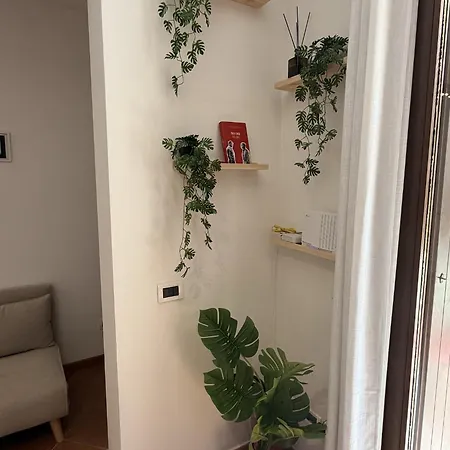 Apartmán Alta Marea 13 *